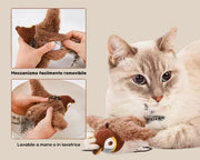 SogniDiFusa™ Pluma